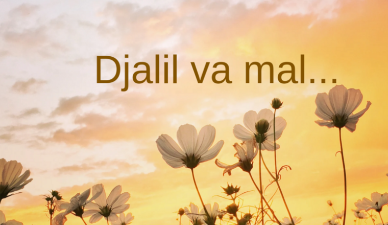 Djalil va mal