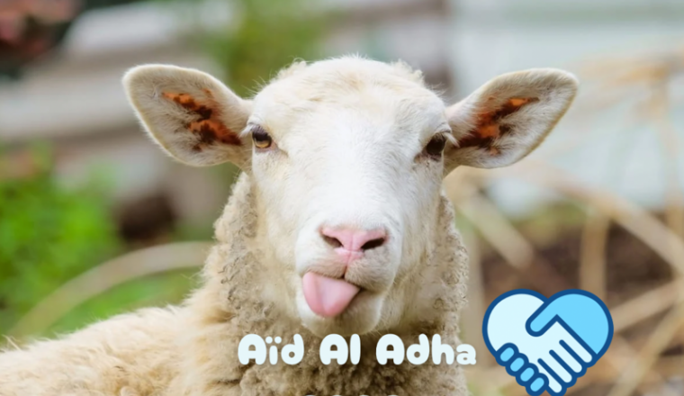 Aid al adha 2026
