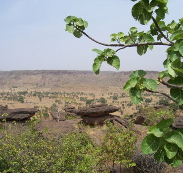 Projet de lieu éco-touristique au nord du Togo
