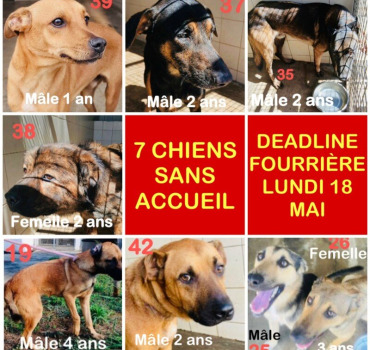 24 VIES A SAUVER