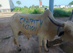 Fundraising proof image