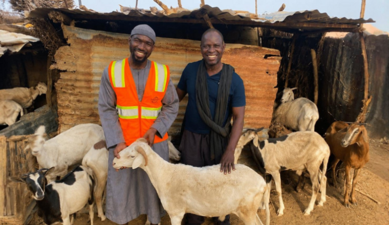 🐑  100 bêtes pour les familles démunies - Aïd 2026