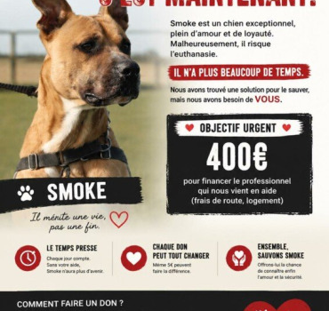 SMOKE : SA DERNIÈRE CHANCE C'EST MAINTENANT