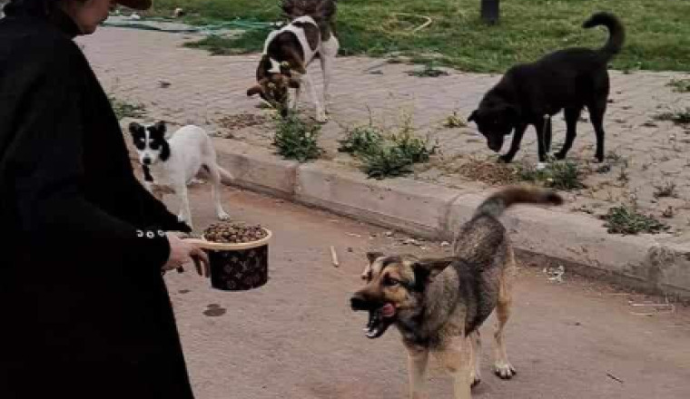Image justificative de la cagnotte