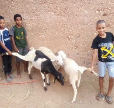 Aïd al Adha 2026 Village de Timiderte