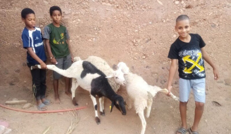 Aïd al Adha 2026 Village de Timiderte