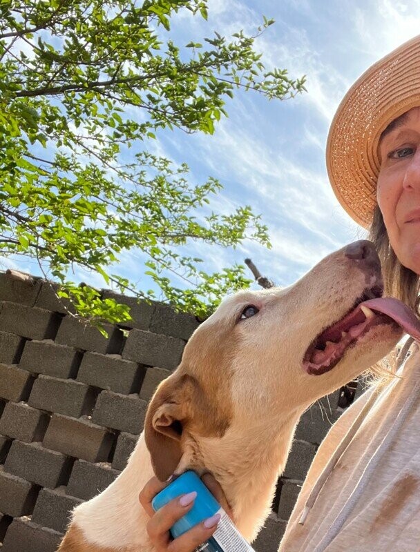 2 ans du refuge Moroccan Dog rescue
