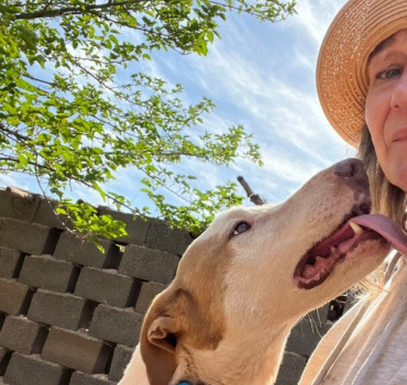 2 ans du refuge Moroccan Dog rescue