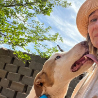 2 ans du refuge Moroccan Dog rescue