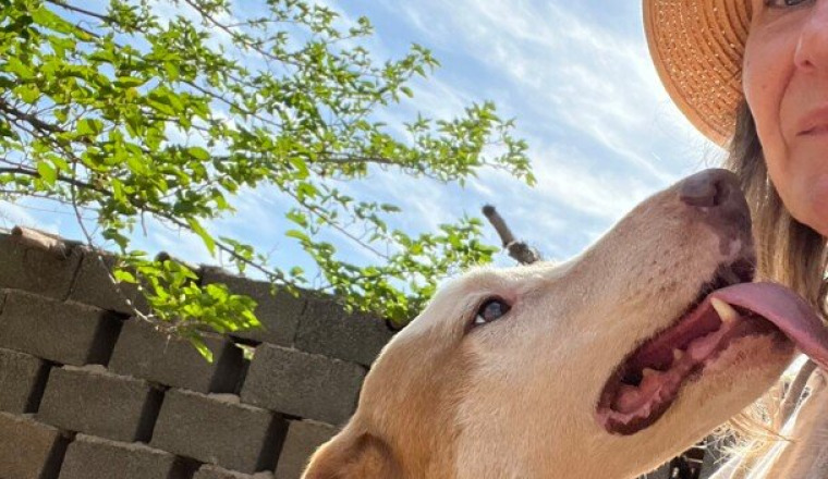 2 ans du refuge Moroccan Dog rescue