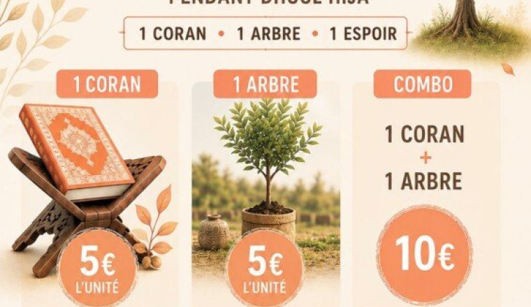 Coran et Arbre