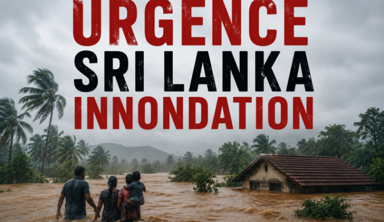 Urgence Sri Lanka 🇱Colis Alimentaires Dhul Hijja