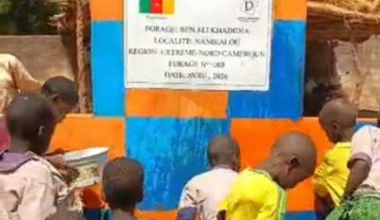 Forage au cameroun